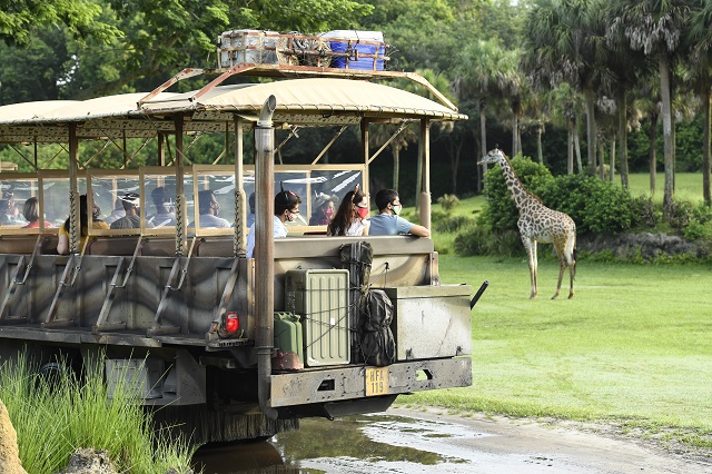 ウォルト ディズニー ワールド リゾートの魅力に迫ろう 海外旅行のスカイクルートラベル