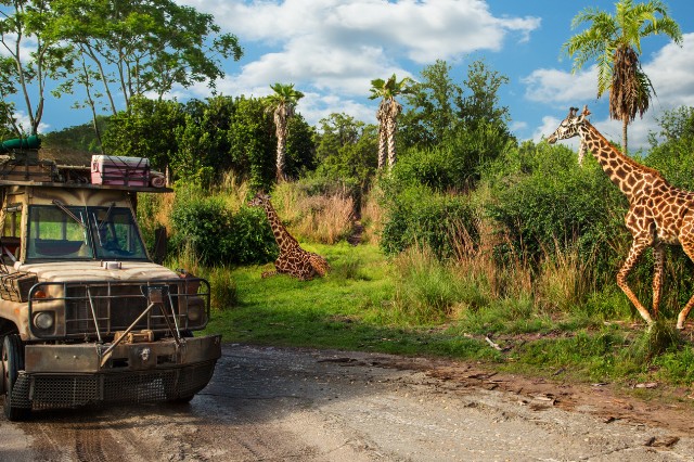 Disney's Animal Kingdom®