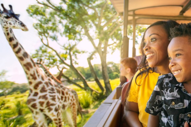 Kilimanjaro Safari