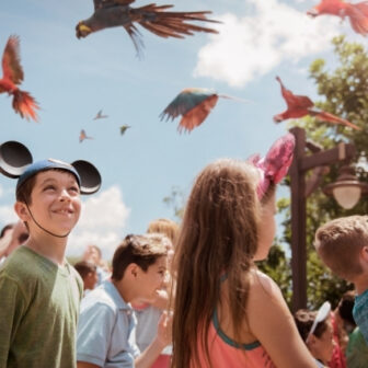 Disney's Animal Kingdom®