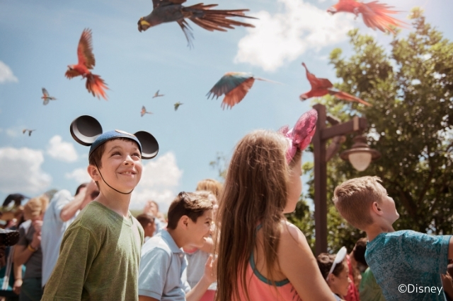 Disney's Animal Kingdom®