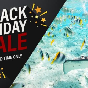 ブラックフライデー海外旅行セール