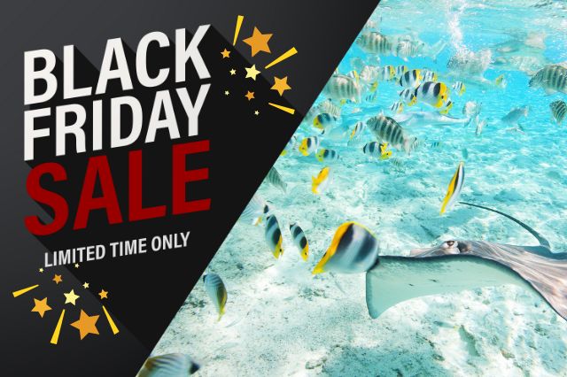 ブラックフライデー海外旅行セール