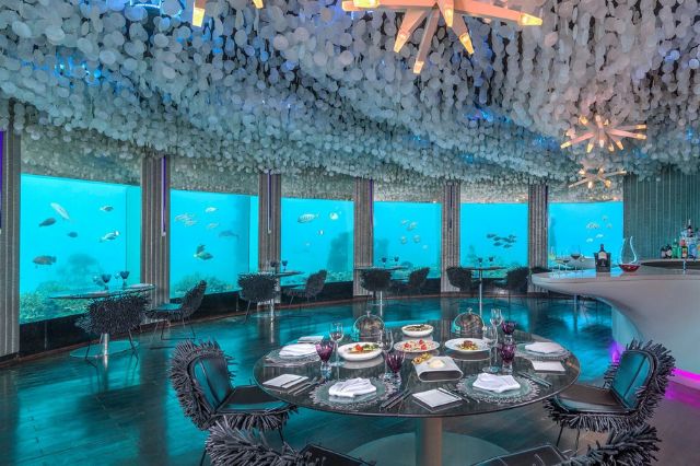 Niyama Private Islands Maldives